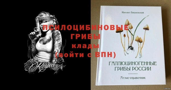 мдма Медвежьегорск