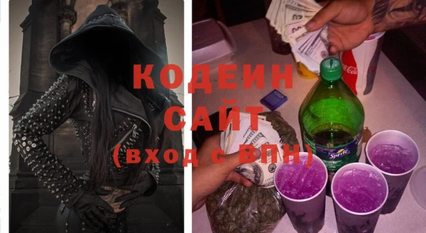 ГАЛЛЮЦИНОГЕННЫЕ ГРИБЫ Алзамай