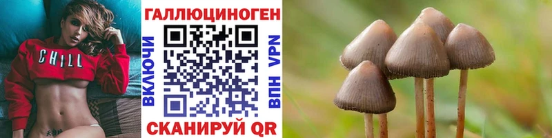 дарнет шоп  Новочебоксарск  Псилоцибиновые грибы Magic Shrooms 